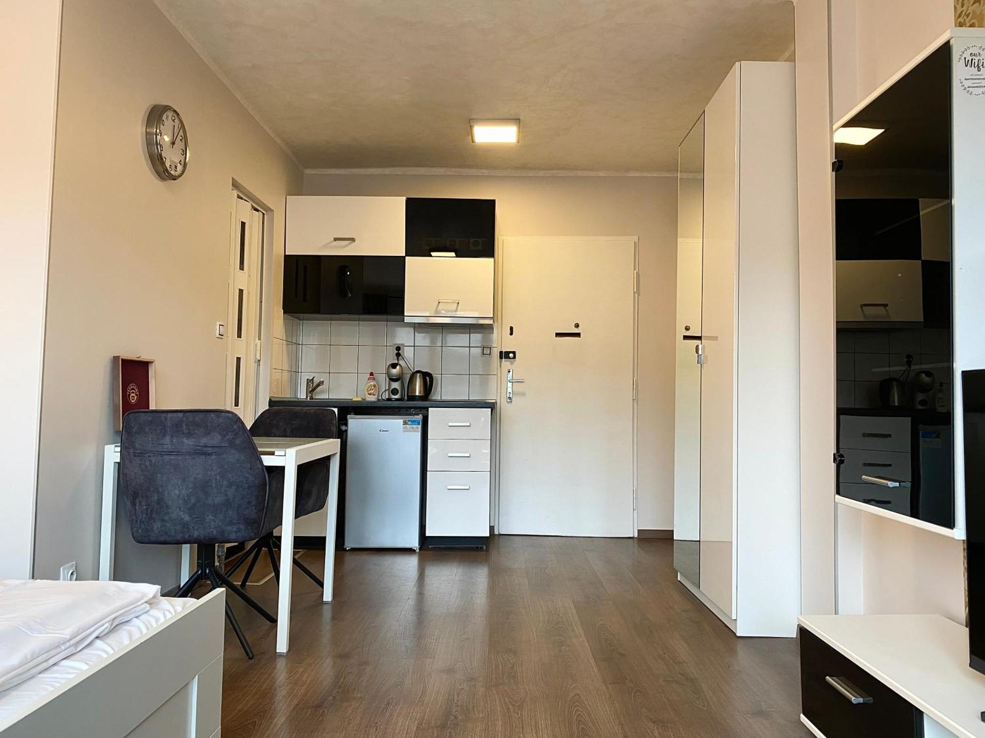 Apartment Floor With Terrace Prag