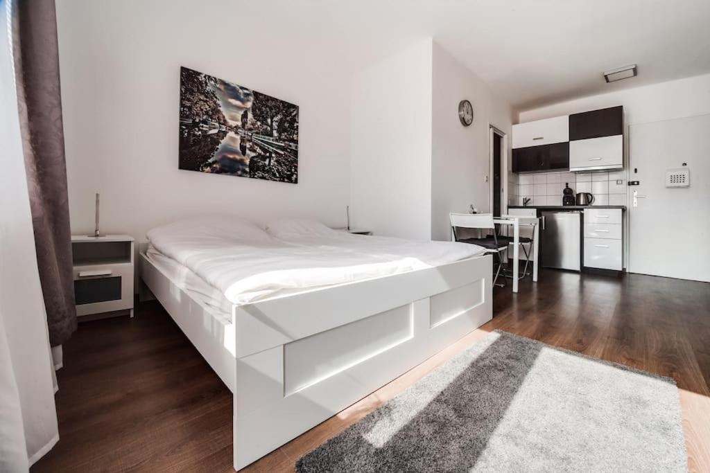 Floor With Terrace Апартаменты Прага